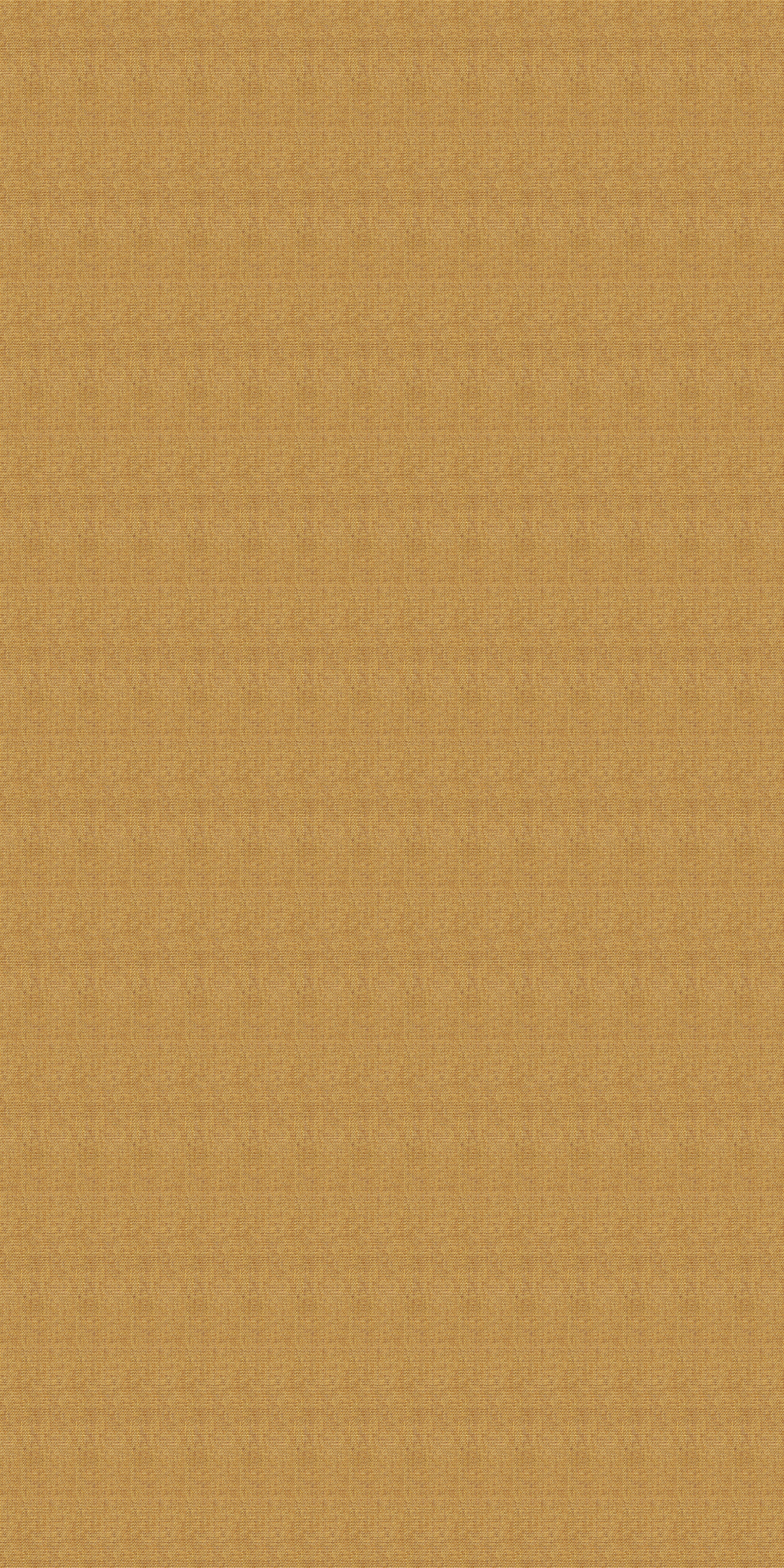 Cane-01