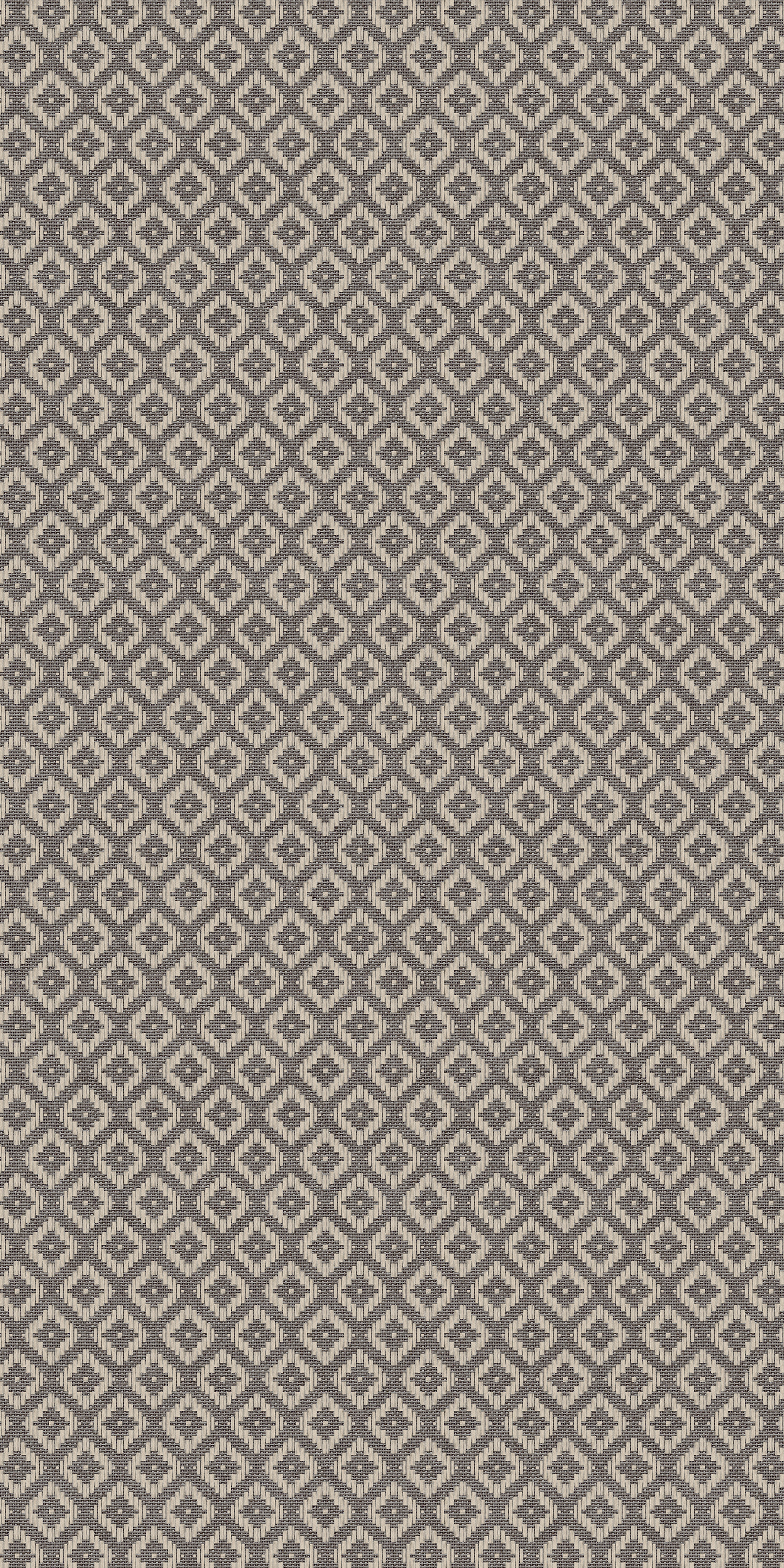 Cane-02