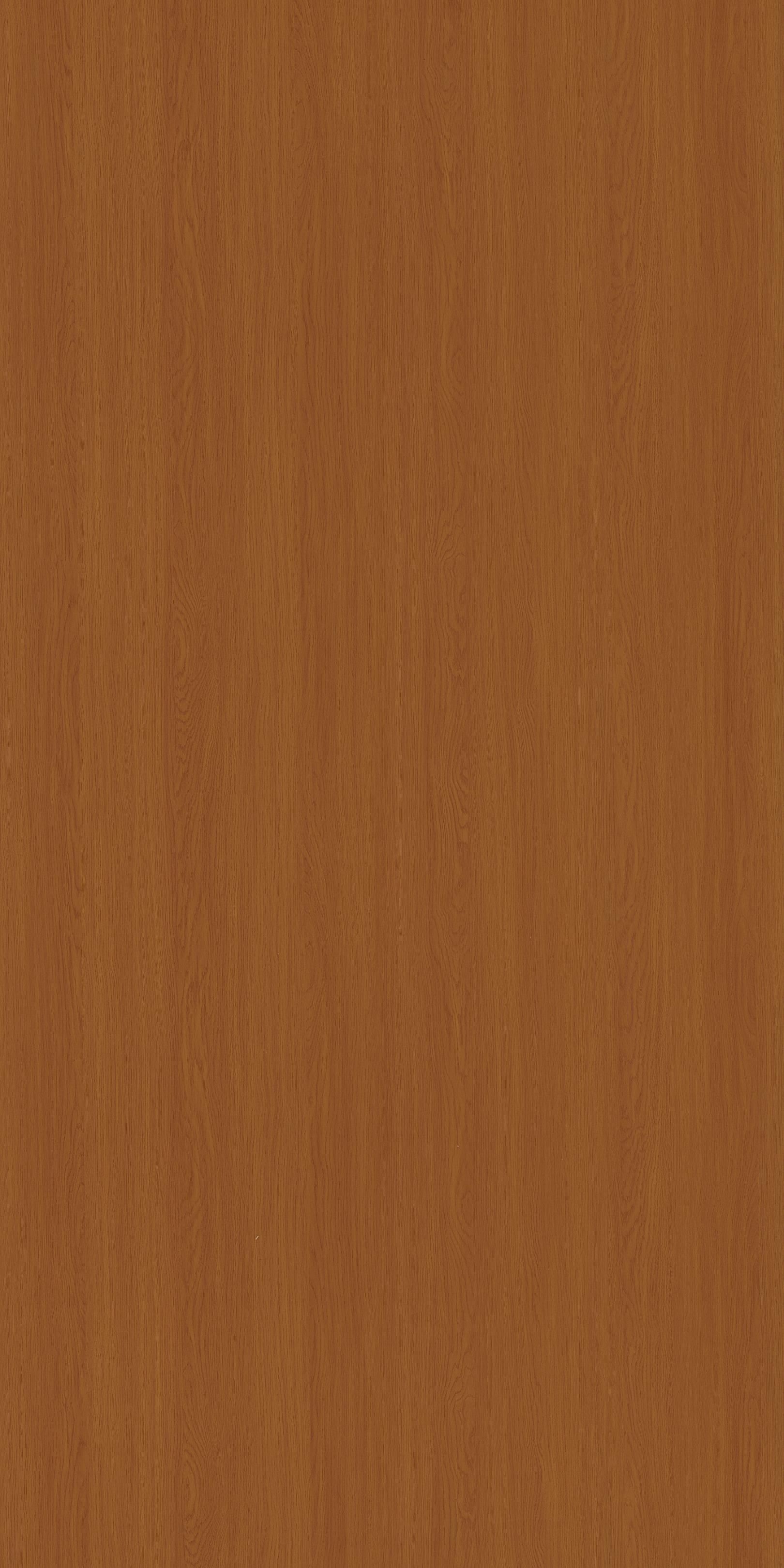 586