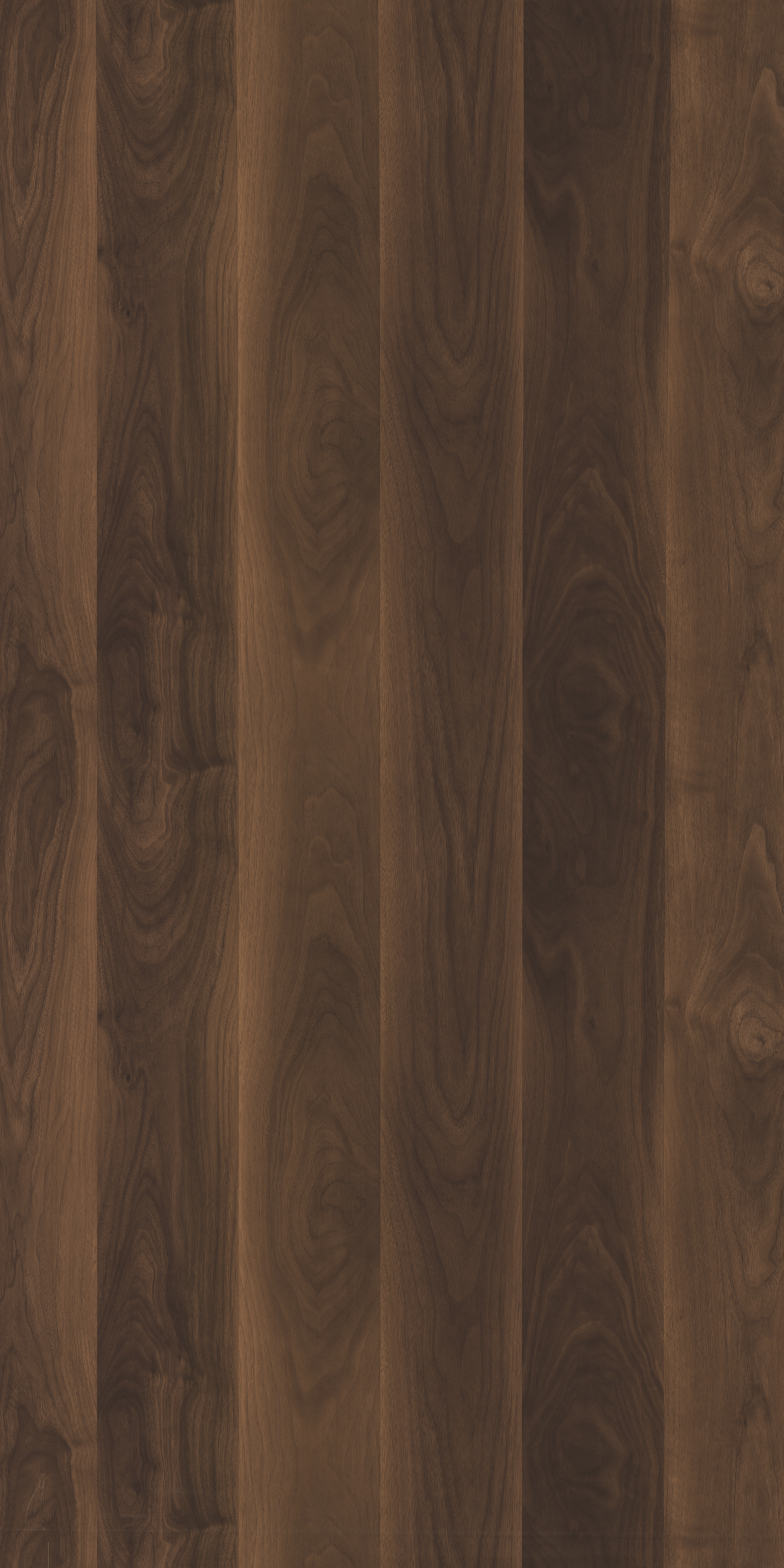 REGAL DARK TEAK